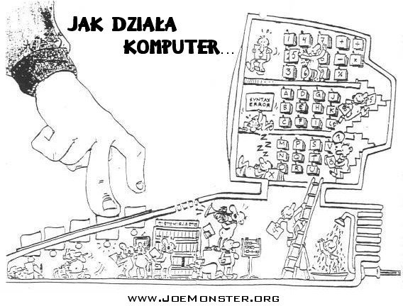 Zabawne fotki
