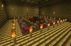 minecraft.2011-04-27_00.17.46