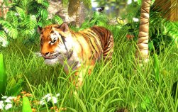 demo gry wildlifepark3 do pobrania