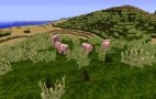 minecraft 65 2011-09-16 01.10.42