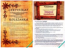 certyfikat koleżanka wyróżnienie kumpel dyplom do pobrania